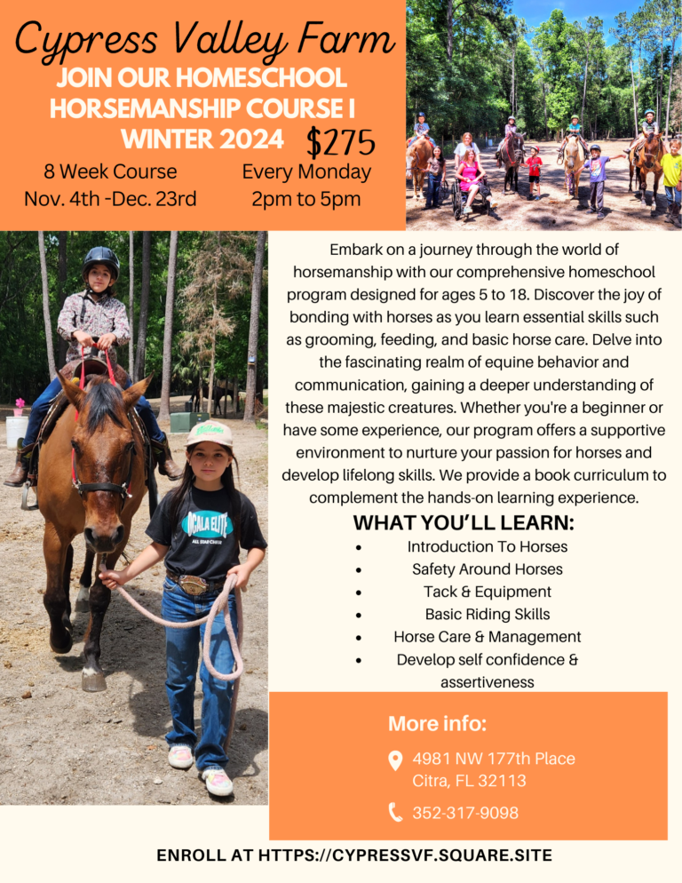 2024 Horsemanship Course I 3 768x994