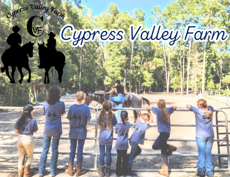 Cypress Valley Farm 3 768x593