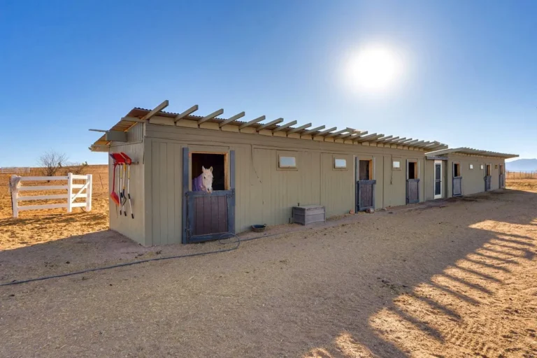 Dede 3560 Barn 2 768x512