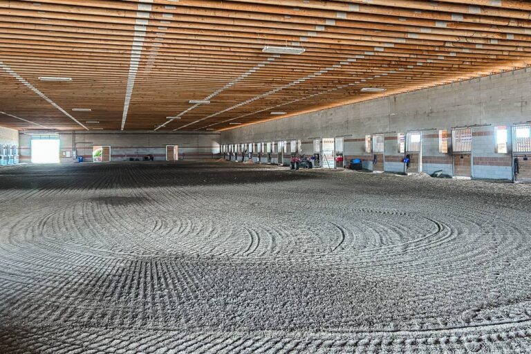 Trayce 16973 S Vista Indoor Arena 768x512
