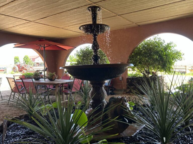Trayce 16973 S Vista Outdoor Patio 768x576