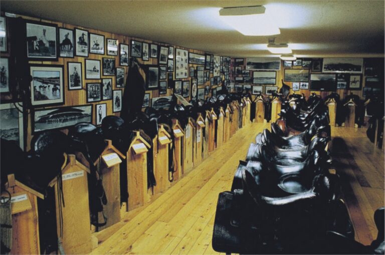 Don King Museum saddles 1 768x510