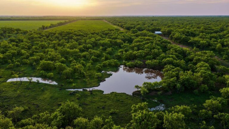 Creed Ranch Graham TX 3 1 768x432