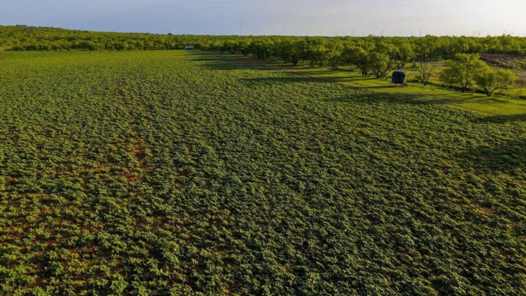 Creed Ranch Graham TX 4 1 768x432
