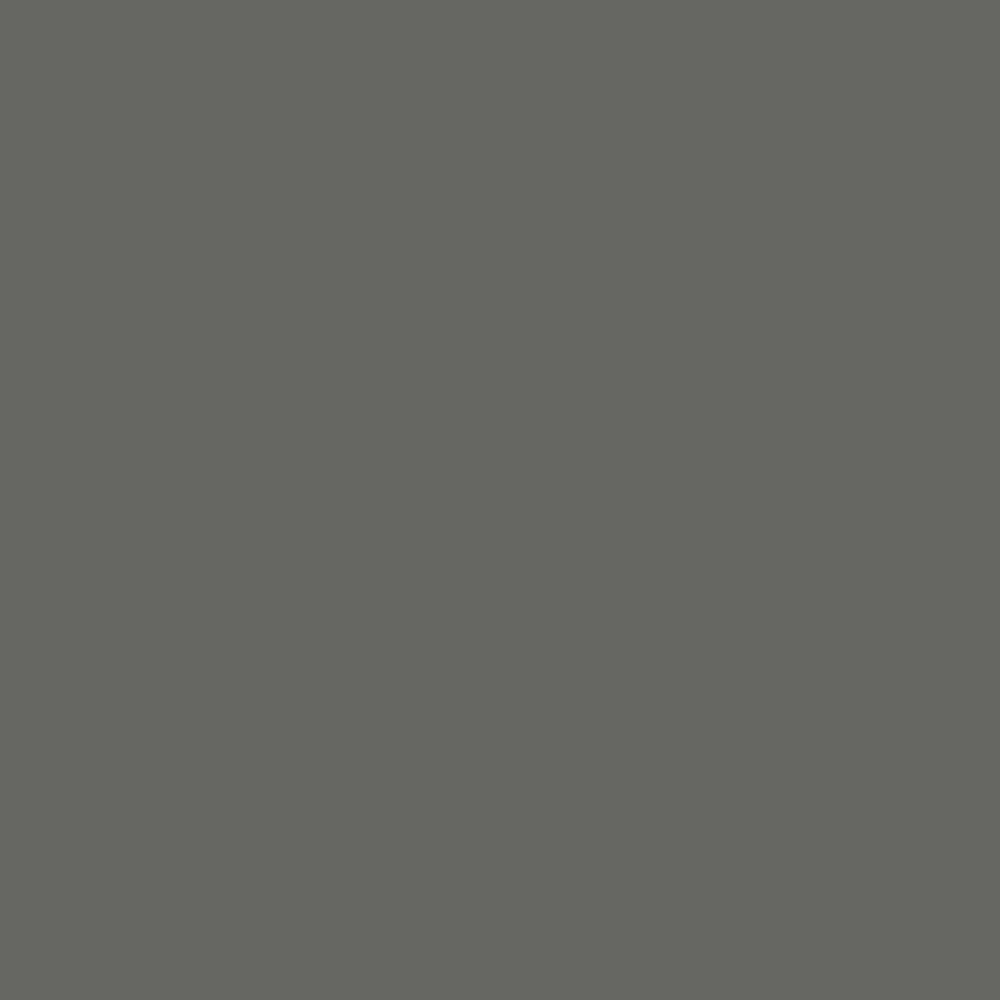 Samplize peel-and-stick paint sample in Benjamin Moore Kendall Charcoal HC-166