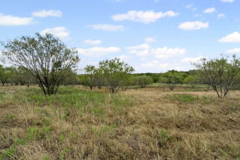 Coalville Road 78 Acres Oak Pasture 768x512