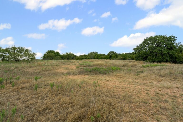 Coalville Road 78 Acres Open Pasture 768x512