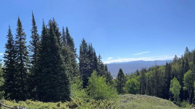 Eagle Ridge Ranch High Country HD 1 768x432
