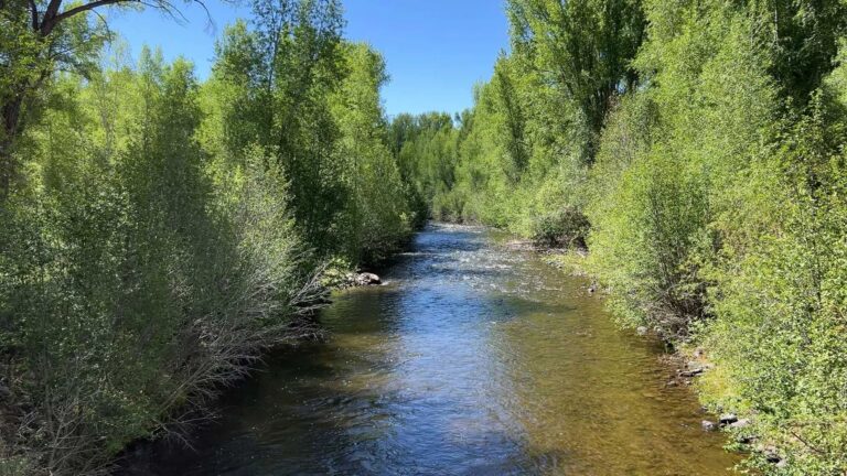 Eagle Ridge Ranch Ohio Creek HD 1 768x432