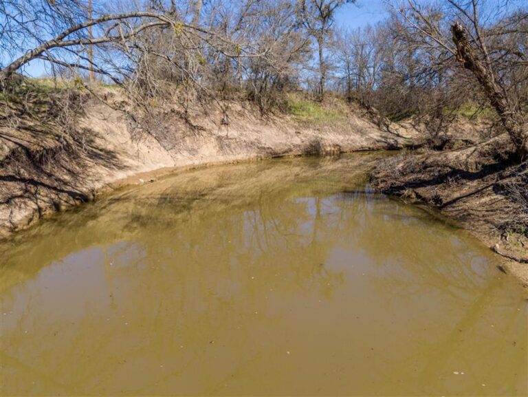 Leon River Ranch Leon River