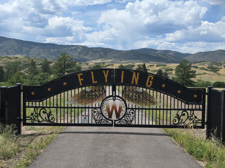 frisco gate custom arched ranch gate wings monogram 1 768x576
