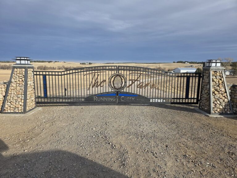 frisco gate custom script name gate stone pillars 1 768x576