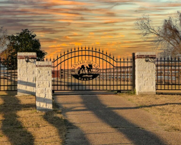 trails west iron ranch gate horse medallion sunset 1 768x614